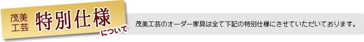 特別仕様について